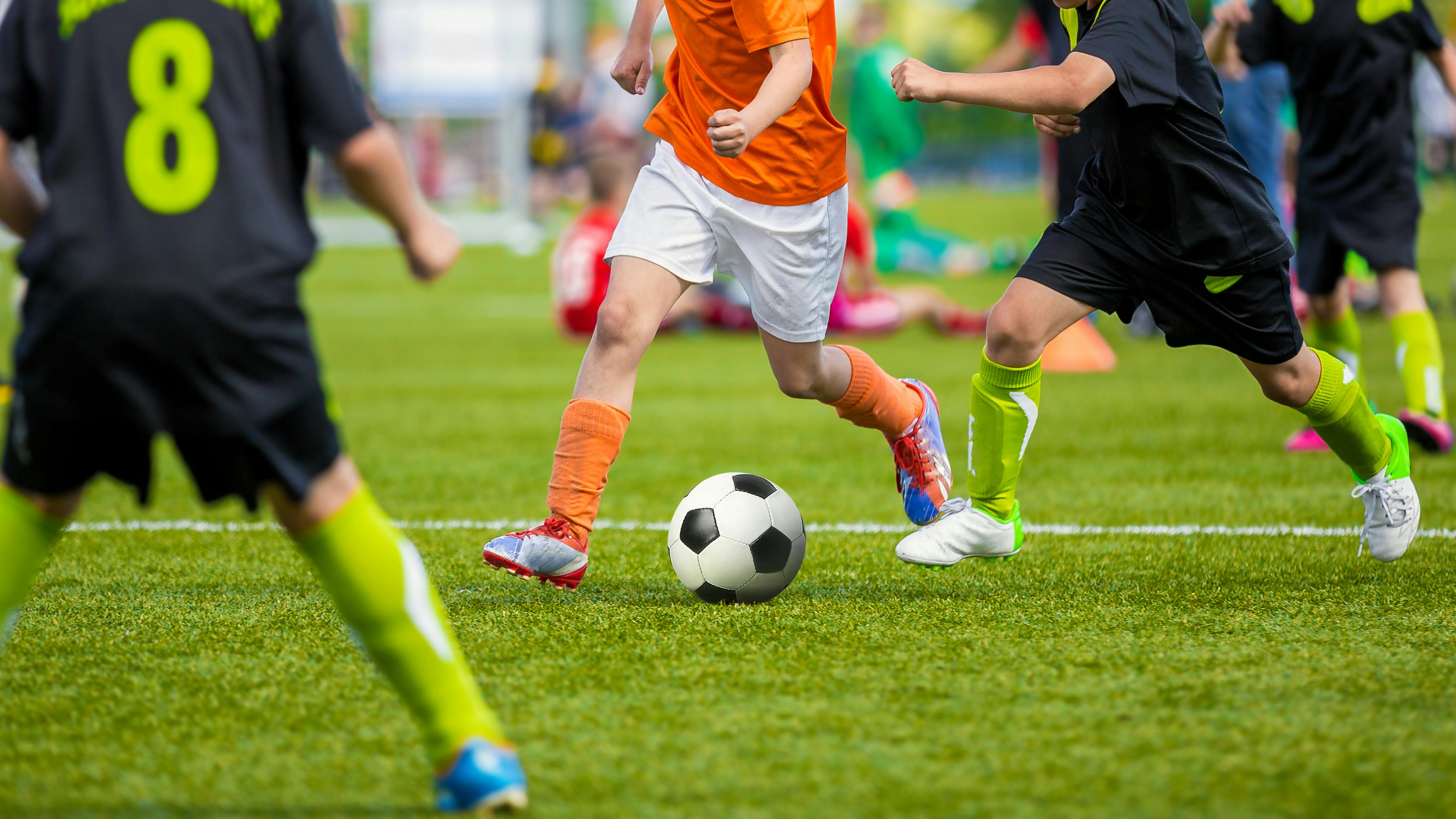 696ff8c72503e67e09f11971 Dreamstime Xxl 107634984