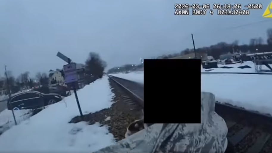 Abington Township, PA, police sergeant pulls woman out of path of oncoming train.