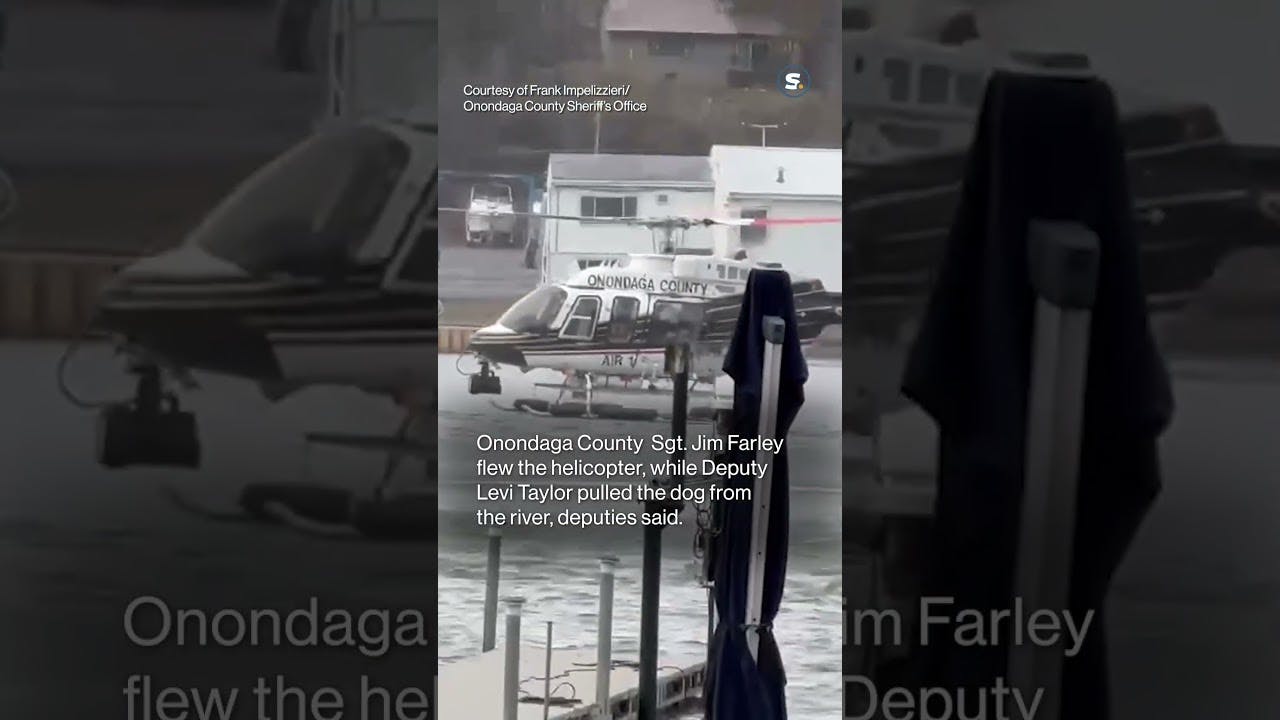 Onondaga County, NY, sheriff's deputies rescue dog in frigid Seneca River.