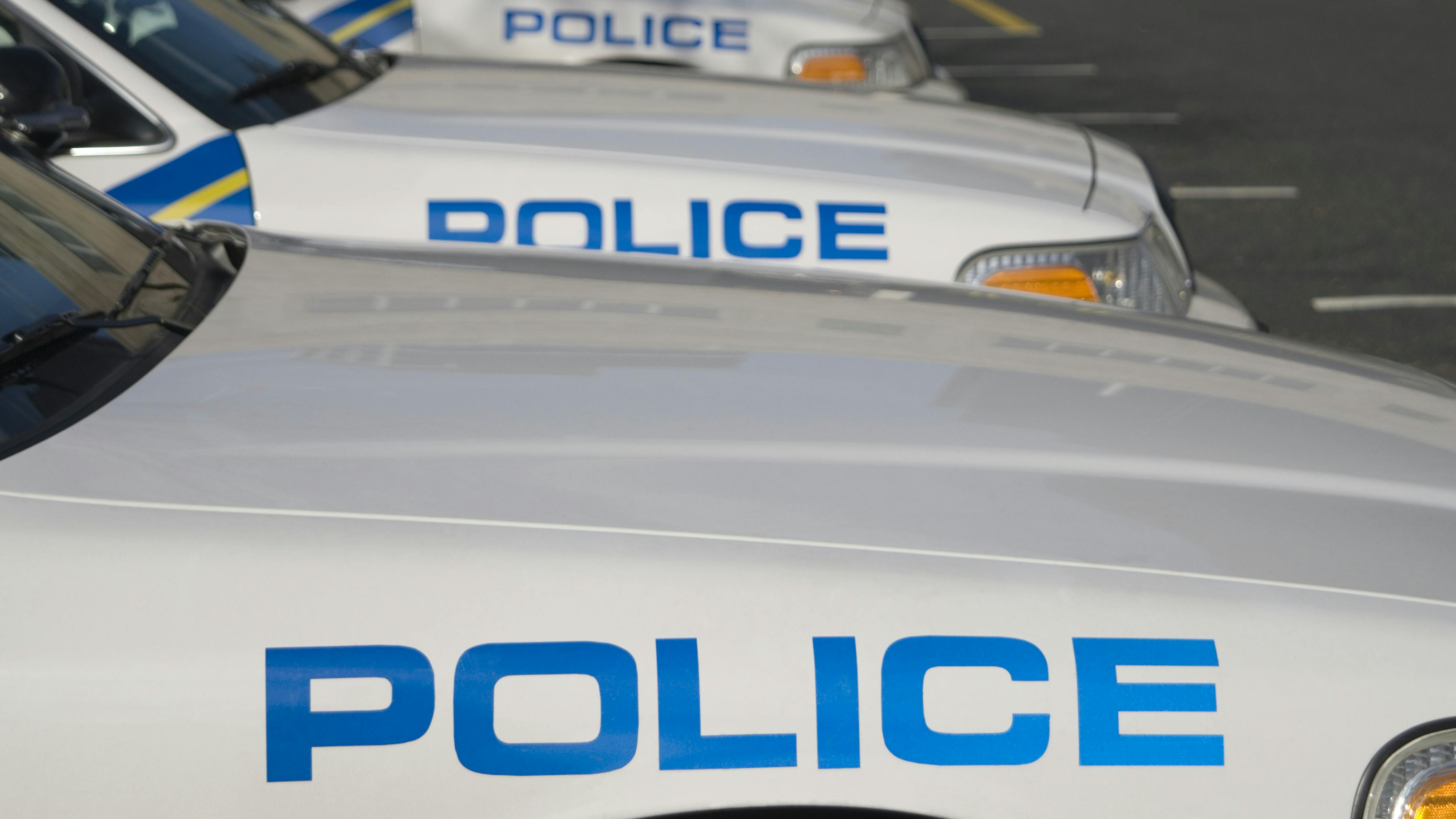 69c40feb4a728fd293010eaa Dreamstime Xxl 1547919