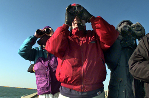 A file photo shows bird watchers on an island along the Chesapeake Bay Bridge-Tunnel. Security measures have been created to balance access for the bird watchers that will require searches, payments for escorted security.
