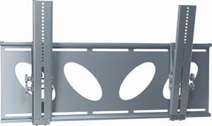 1205337833768 10560988