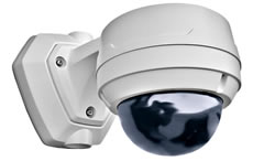 Videology Ima 10216440