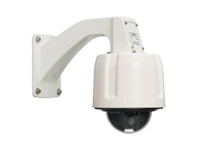 Surveyorvftdomecamerawithprogressivescan 10216880