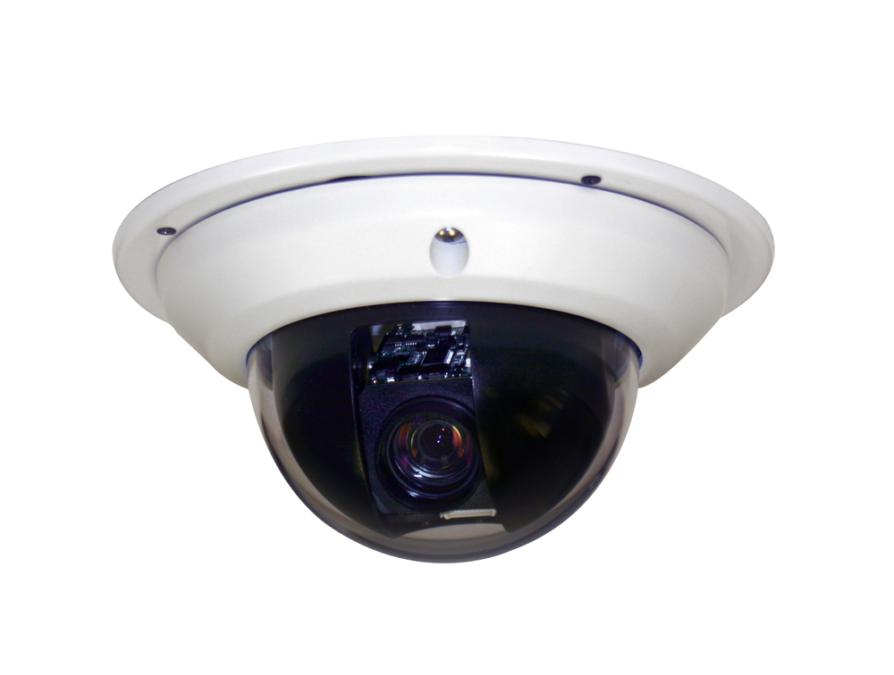 Surveyormininetworkptzdome 10216901