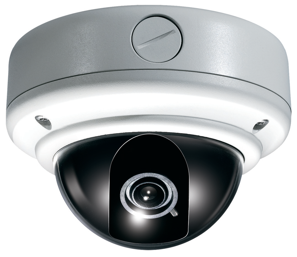 Clinton Elect 10217173