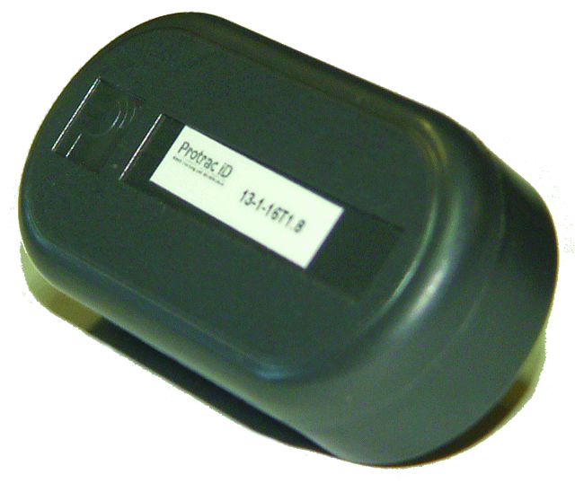 1st Choice Sec 10217546