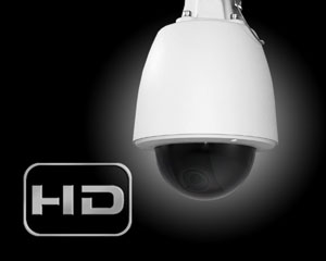 Indigo Vision 10217715