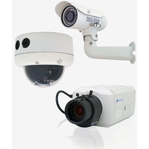 American Dyna 10217939