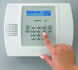 Lynxplusspanish Hand 10244341