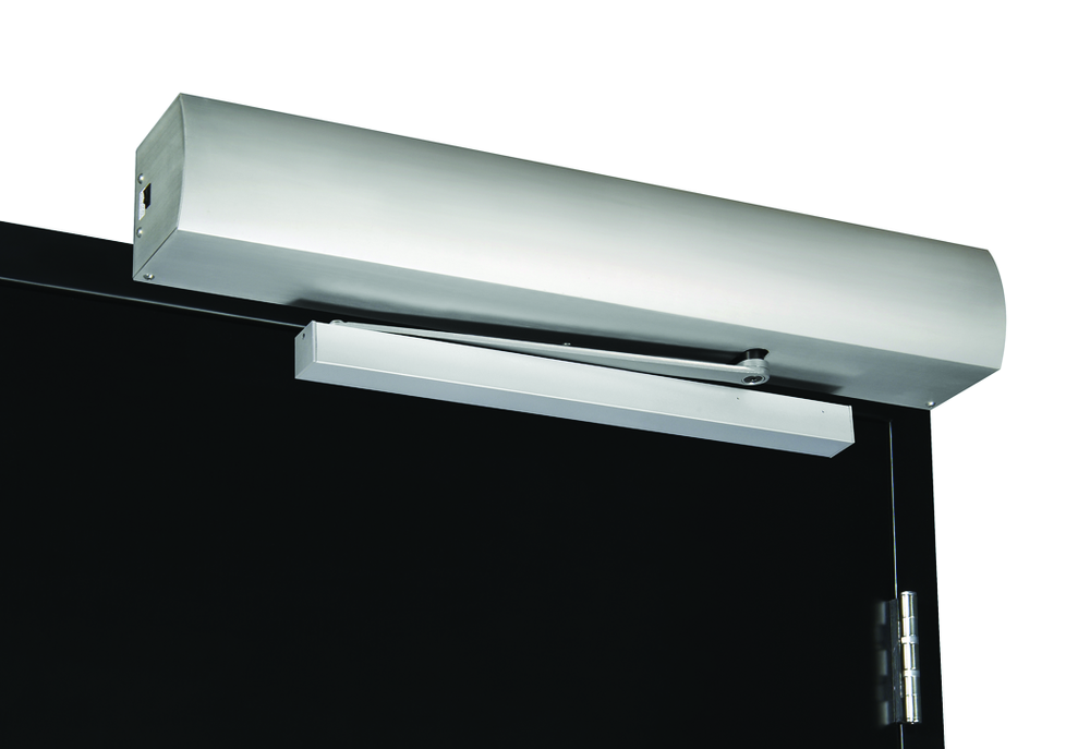 Nortonxinphoto 10239522