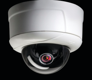 Sarixiddome2 10343547