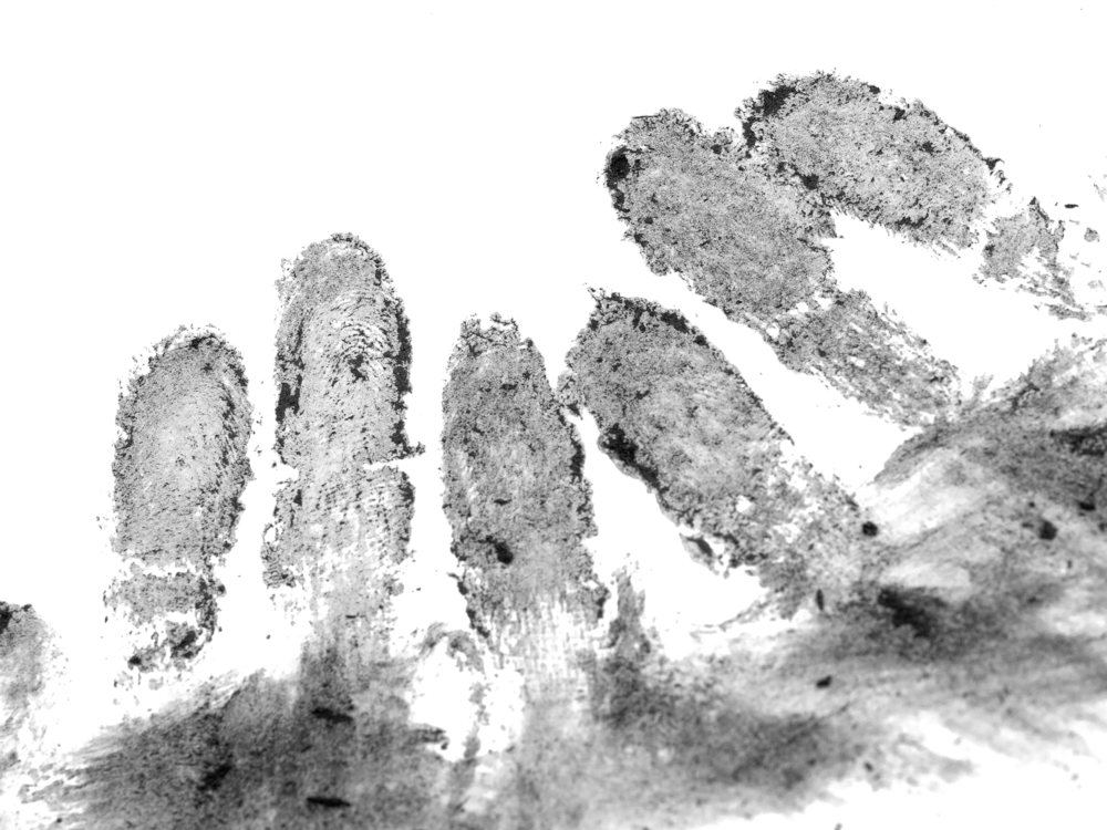 Shoplifters taking a 5-finger discount in Dallas will have to steal more than $50 of merchandise before police are dispatched.