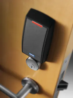 Sargentimage2126 Ver2 Wred Rgb 10715884 Sargentimage2126 Ver2 Wred Rgb 10715884