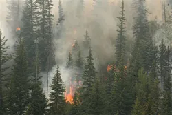 Bold Technologies was recently forced to evacuate its offices in Colorado Springs, Colo., due to the outbreak of wildfires in the region. Bold Technologies was recently forced to evacuate its offices in Colorado Springs, Colo., due to the outbreak of wildfires in the region.