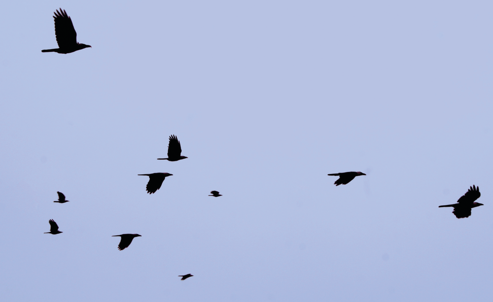 What's your migration strategy for your physical security systems like access control and identity management? Swapping technology is only part of the conversation.