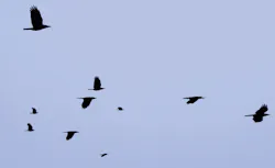 What's your migration strategy for your physical security systems like access control and identity management? Swapping technology is only part of the conversation. What's your migration strategy for your physical security systems like access control and identity management? Swapping technology is only part of the conversation.