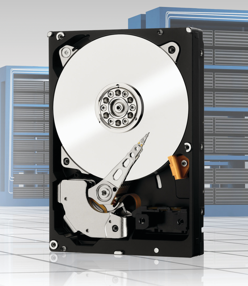 Wd Re Hard Drive 10828856