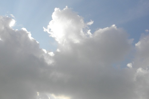 According to a new report from CDW, an increasing number of organizations are adopting cloud services.