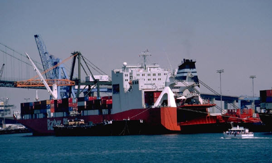 Cnl Software 10916451