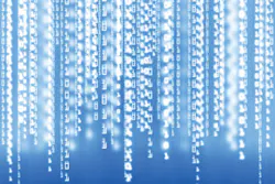 Data 10927381 Data 10927381