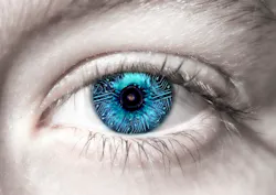 DirectIP™ HD cameras with a 32-channel NVR featuring a 24-port PoE switch and IDIS Center video management software. DirectIP™ HD cameras with a 32-channel NVR featuring a 24-port PoE switch and IDIS Center video management software.