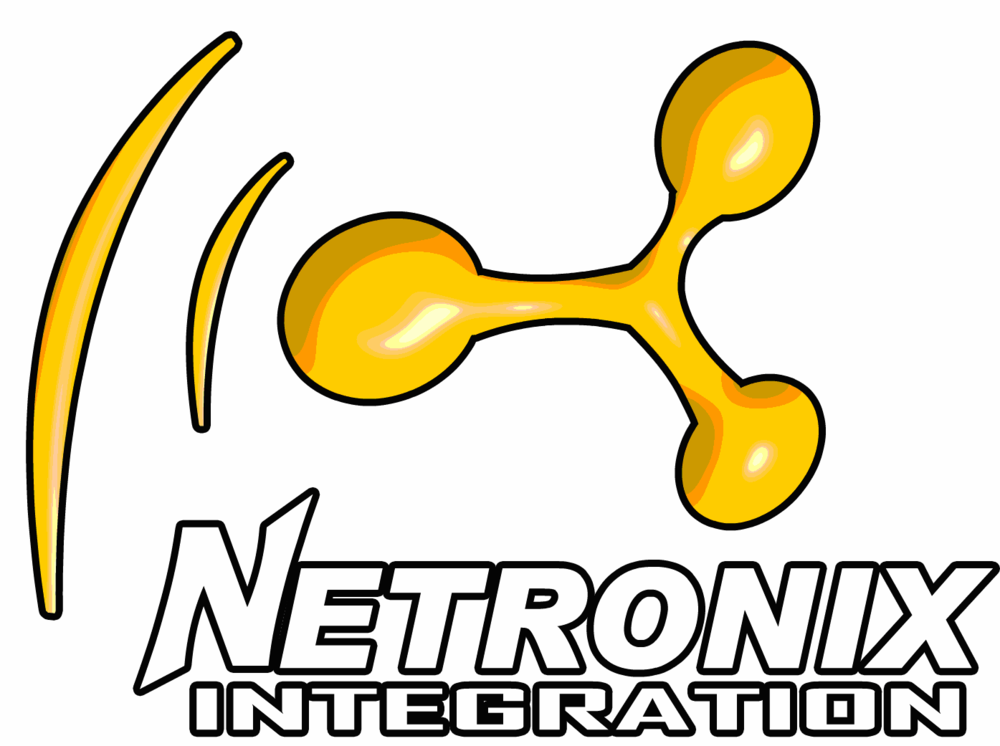 Netronix Integration was awarded Honeywell's top HIS honor.