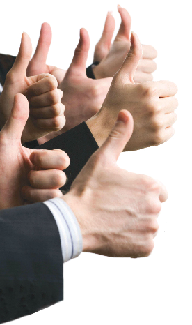 Eight Thumbs 11567701