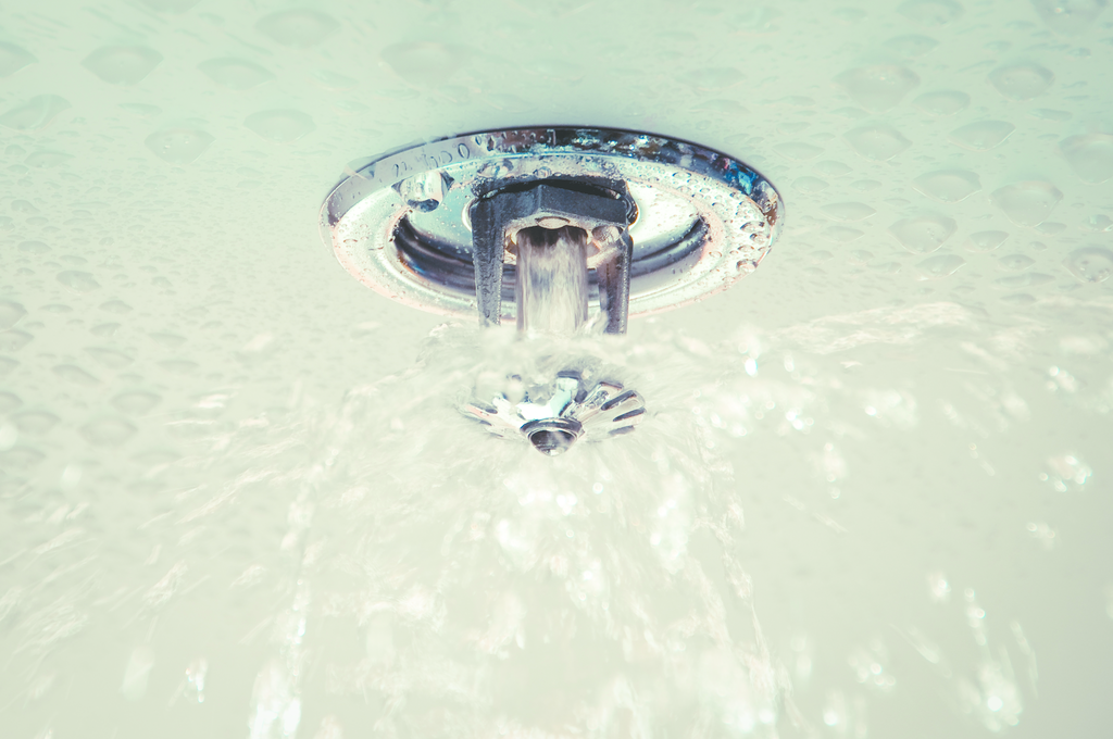 Istock 000011187812large 11748844