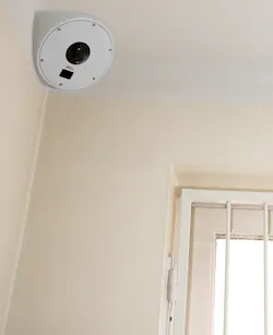 Snp Q8414 Lvs Corner Hi 54933f18ed5d6 Snp Q8414 Lvs Corner Hi 54933f18ed5d6