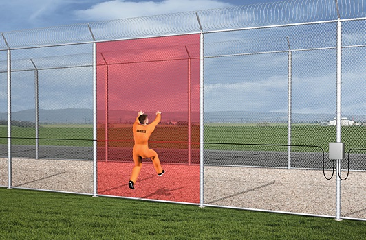 INTREPID MicroNet II from Southwest Microwave reliably pinpoints the location of fence cut or climb attempts to within 10 feet, but ignores harmless environmental disturbances.