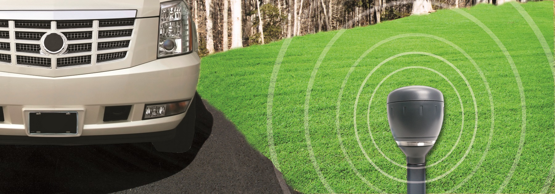 34150 white car 55dc91cb1d2db