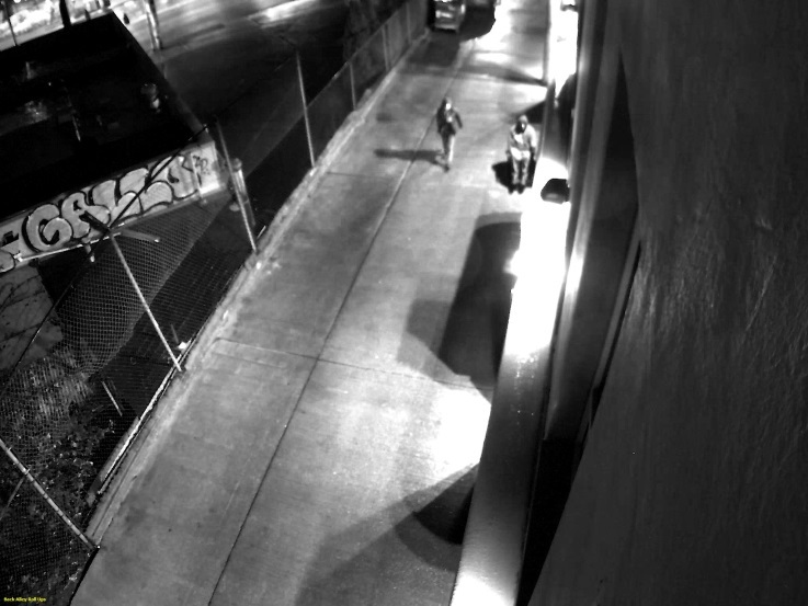 In cities across America, graffiti taggers are costing municipalities and businesses thousands of dollars in cleanup costs and potential lost business. Prevention of these incidents is an on-going pursuit but one Goodwill store in Seattle, Wash. has found a solution with megapixel video surveillance cameras from Arecont Vision.