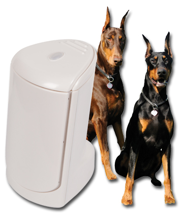 STI ED55 568c002521238