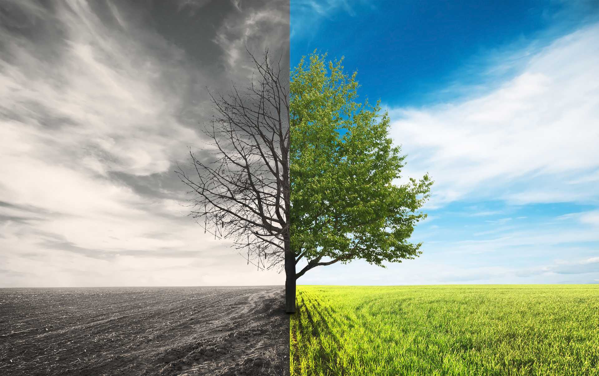 How IT innovation continues to reshape the security landscape