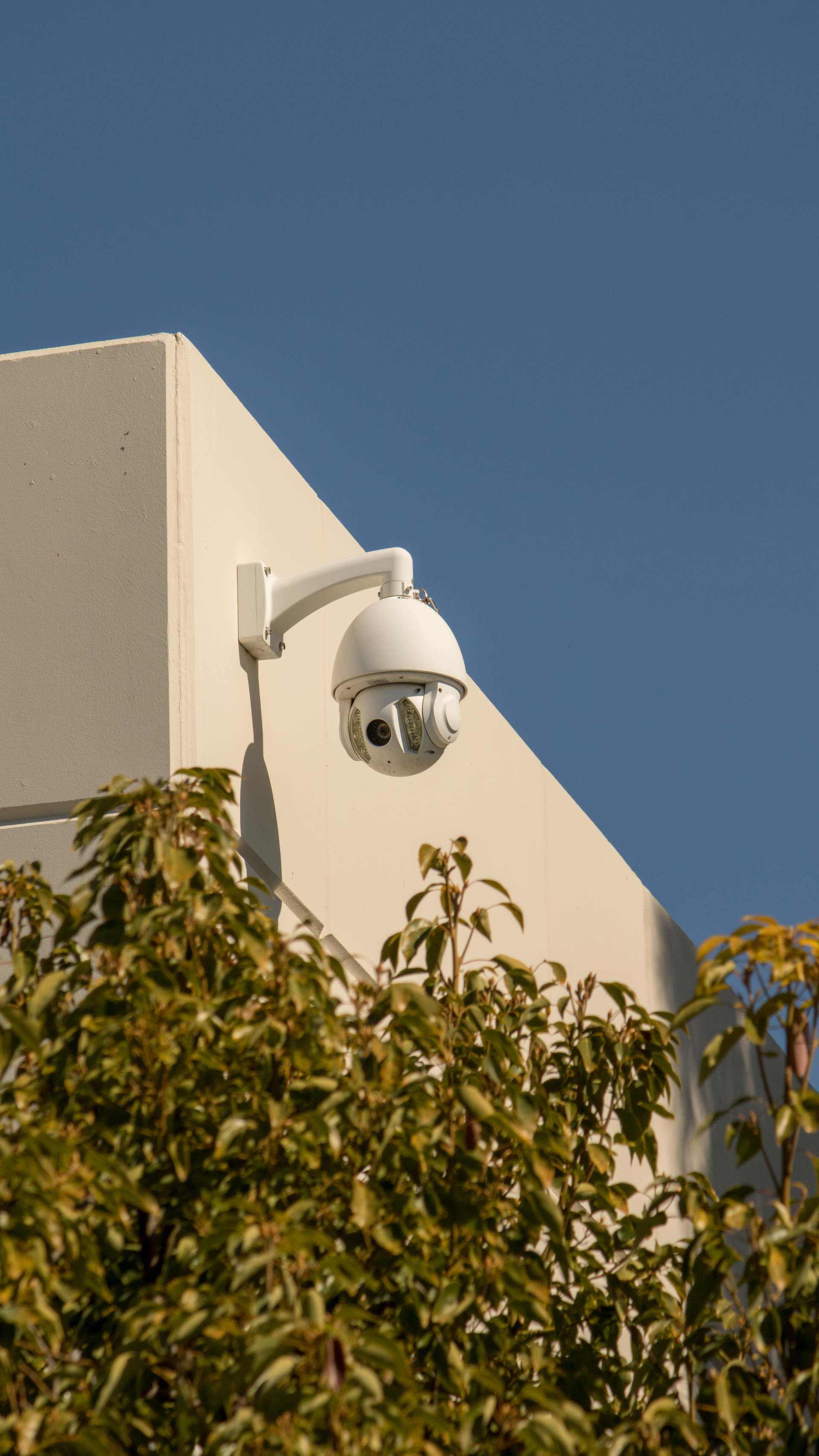 New technologies and features are bringing pan/tilt/zoom cameras back into the spotlight