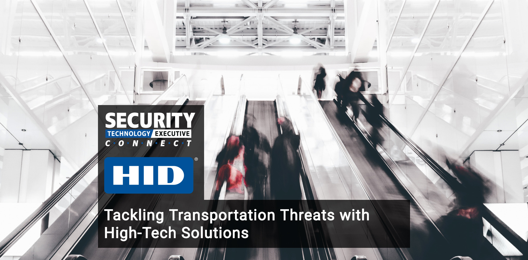 Ste Hid2 5b35207277c9b