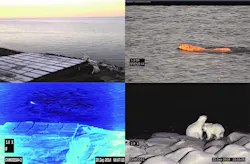. Polar bears can be detected early by the cameras thanks to their thermal imaging technology – even when the animals are swimming or are far off in the distance. . Polar bears can be detected early by the cameras thanks to their thermal imaging technology – even when the animals are swimming or are far off in the distance.
