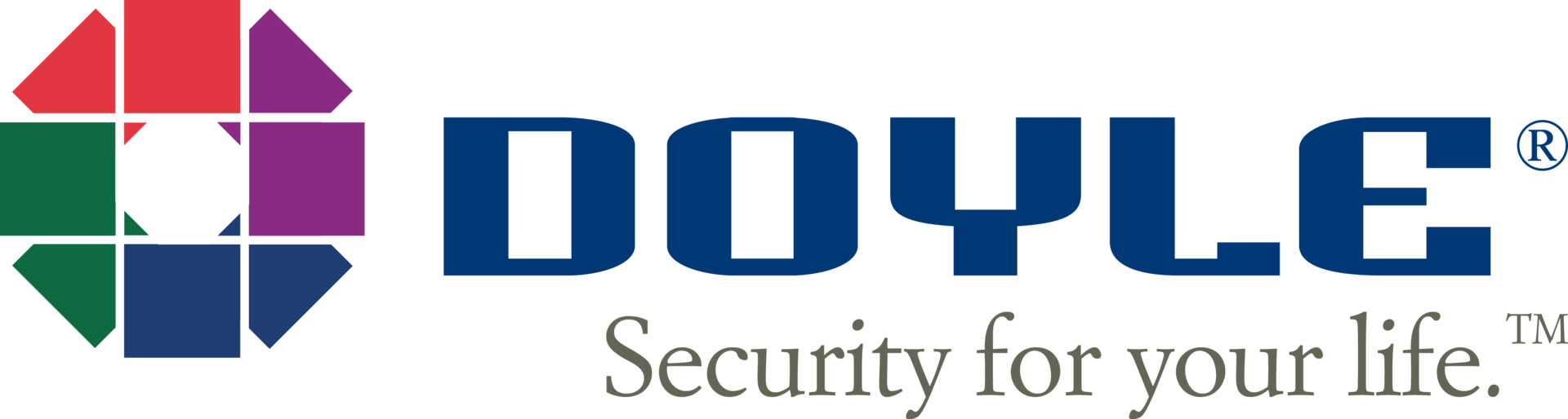 Doyle Security Systems Logo
