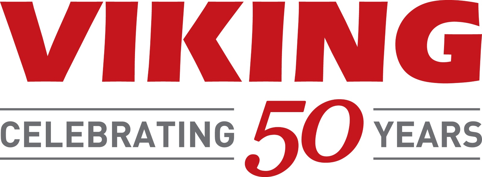 Viking Logo50(1000x400)