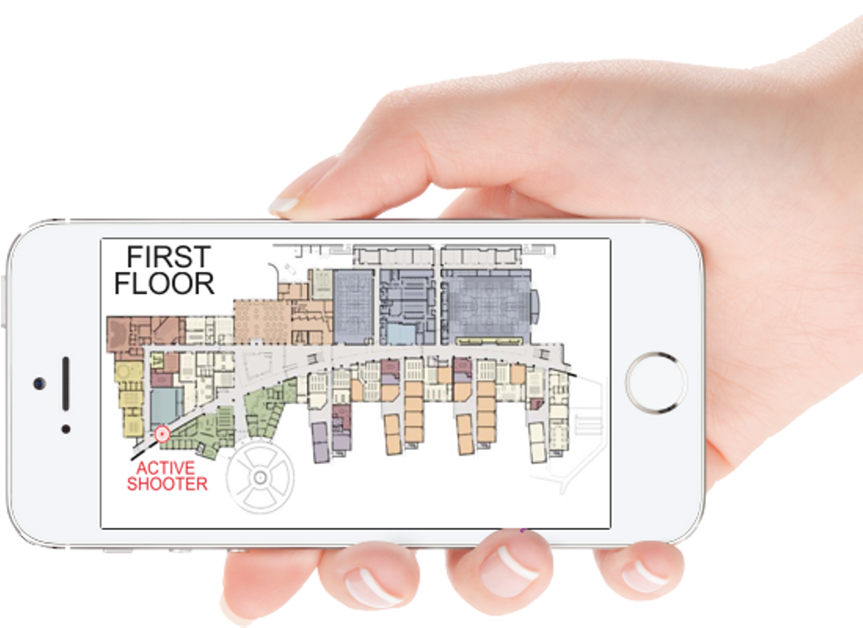 Cell Screen Isc 5e39e387aeabb