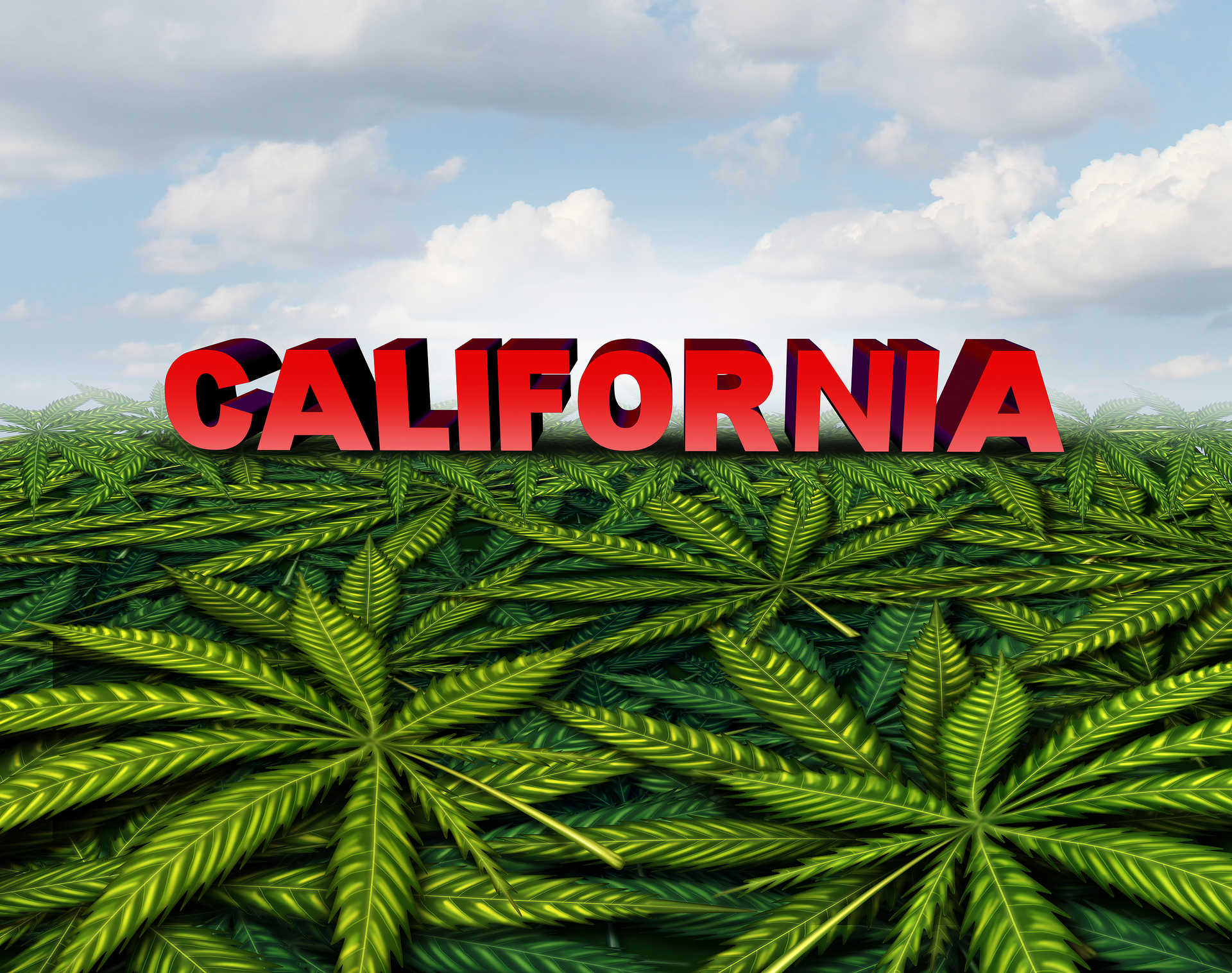 Cracking the code on California cannabis law is complex and won&rsquo;t get easier any time soon.