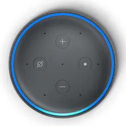 Interest in voice controlled devices is skyrocketing. Interest in voice controlled devices is skyrocketing.