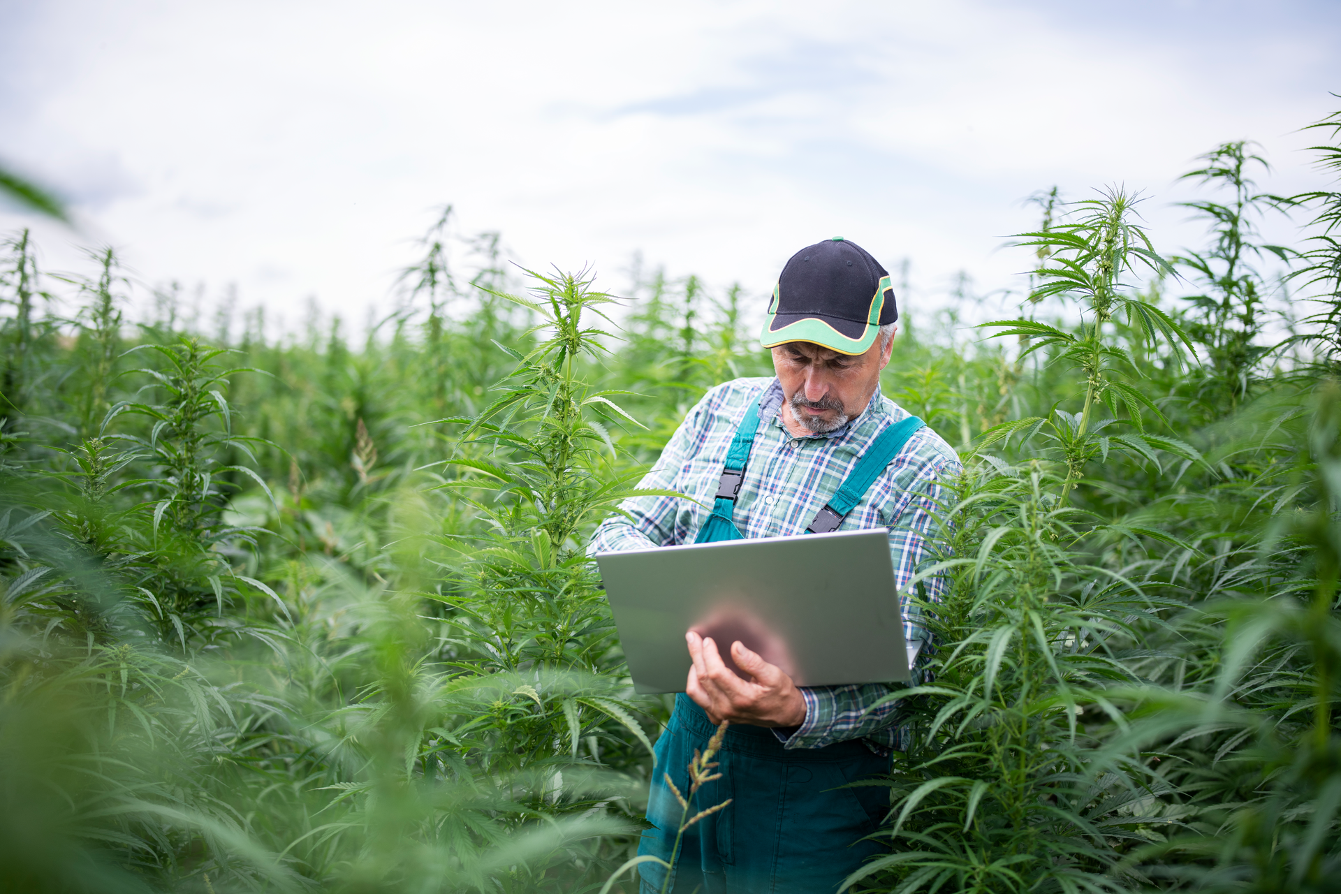 Strong security is the law in almost every market with specific regulatory requirements dictating how security is handled and facilities are constructed.