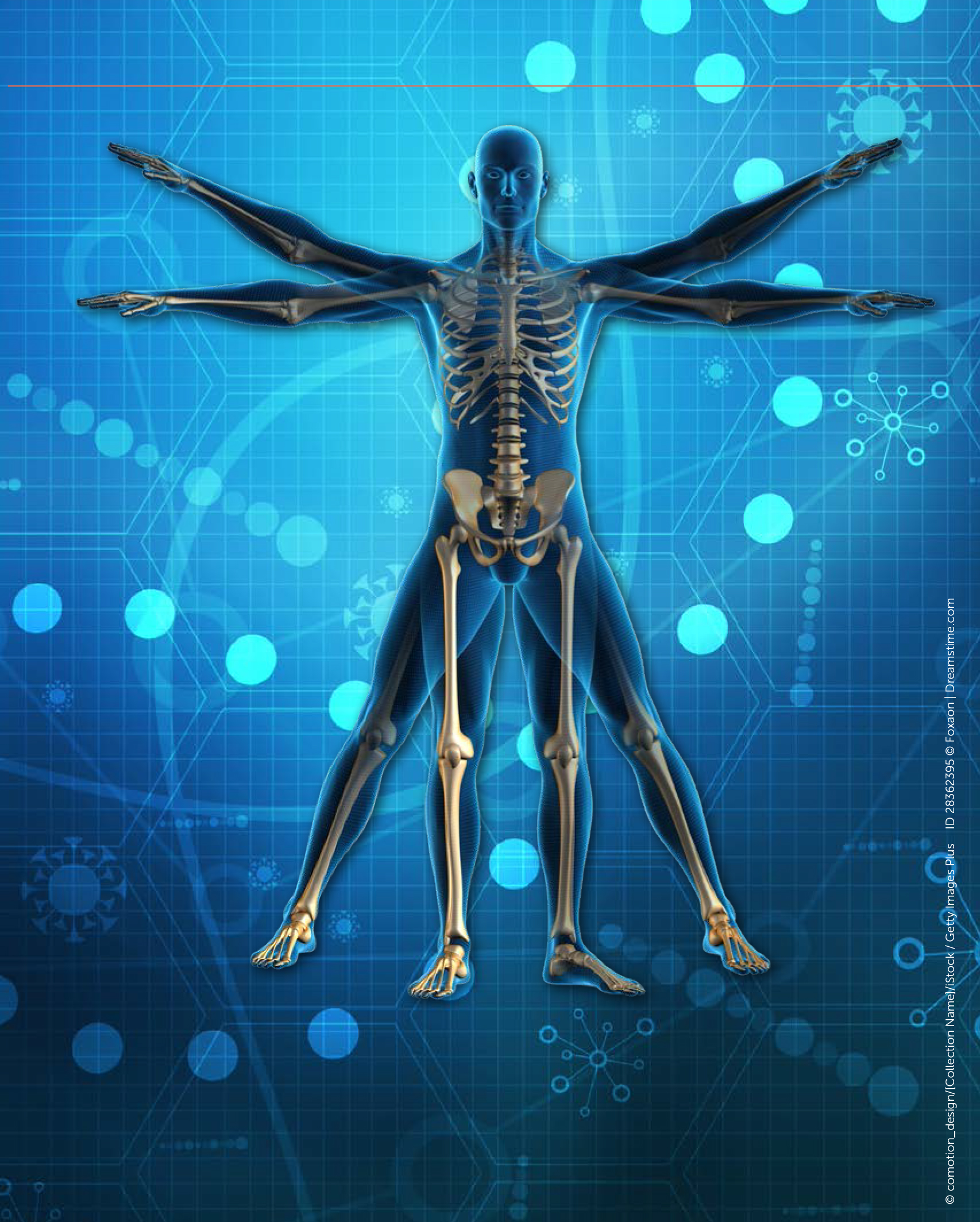 Anatomy 62029ea6109d9