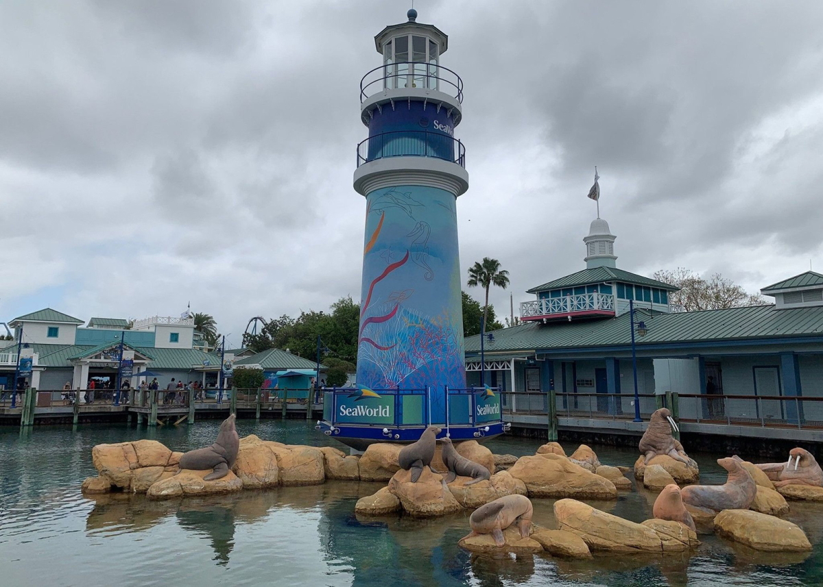 SeaWorld Orlando has been sued by a Florida family over an alleged assault by other guests.