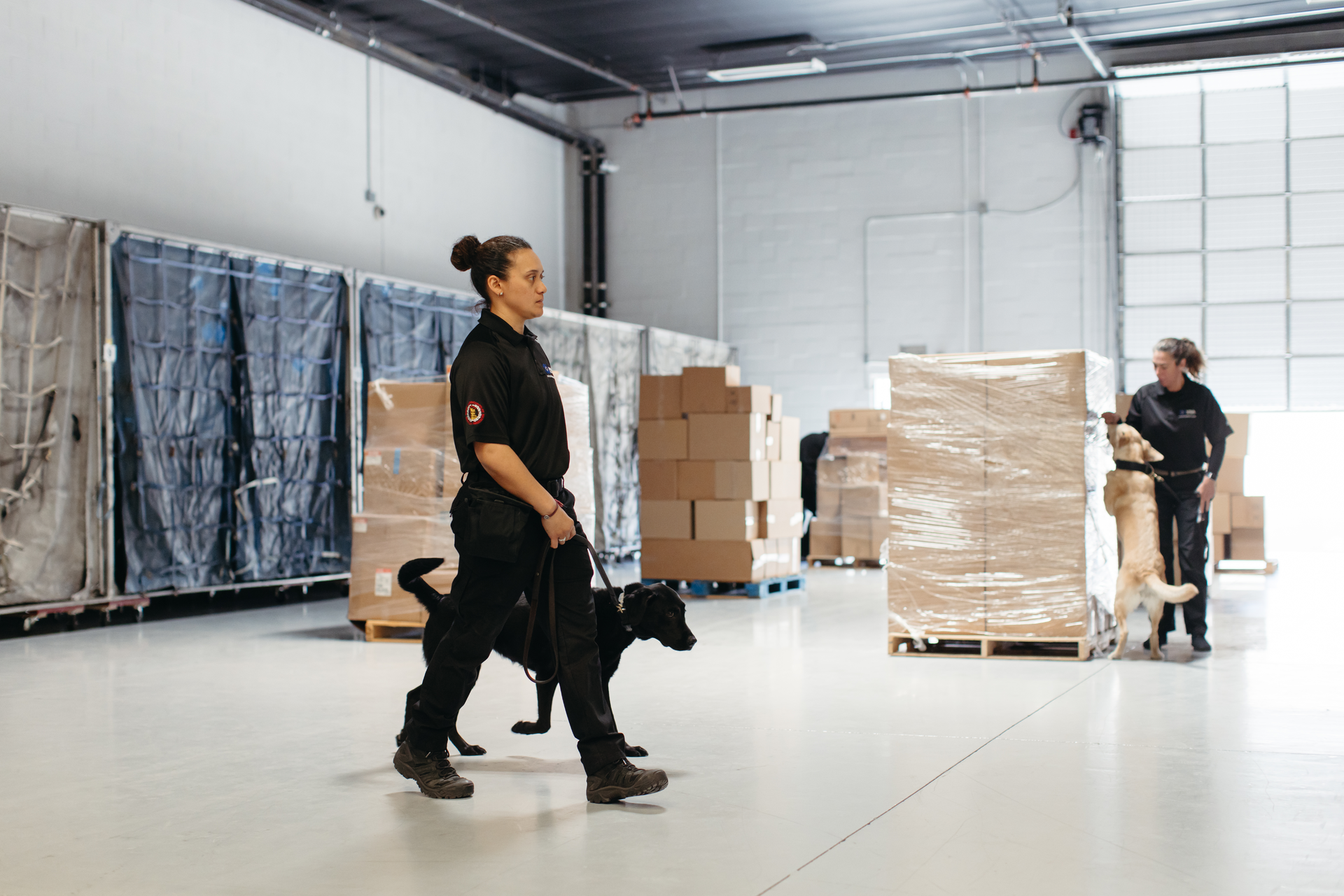 MSA Security uses highly trained canines to help to detect and mitigate explosive and active-shooter threats for venues, landmarks, commercial real estate properties, cargo sites and government clients in the U.S. and internationally.