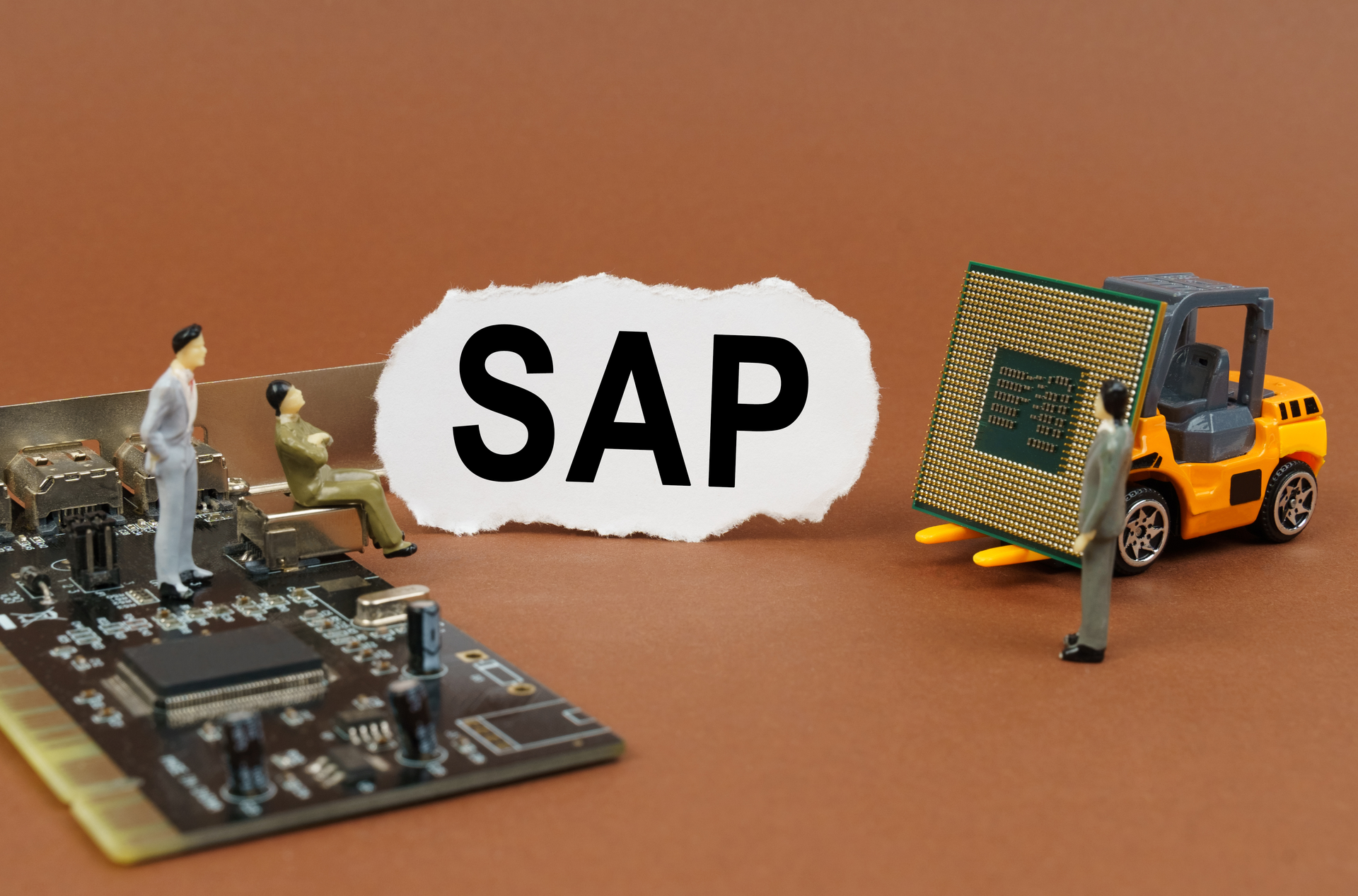 SAP systems need to be safeguarded to protect company information and processes by managing the access of internal and external entities.