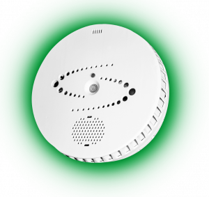 Halo Left Clip Greenglowsmall E1648221755511 300x283