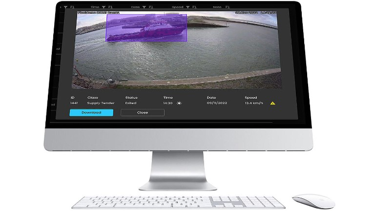 Brain Creators Seagull